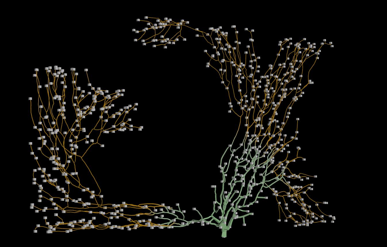 Houdini Space Colonization